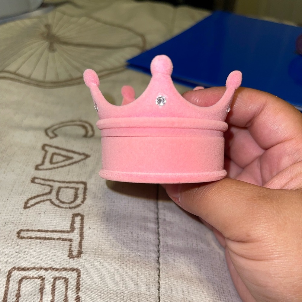 🌸5/$25 Crown shaped eyelash storage box🌸